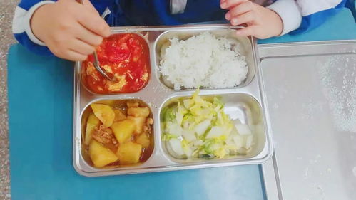 寶安小學校內午餐午休 解決家長接娃難題，餐飲管理獲好評